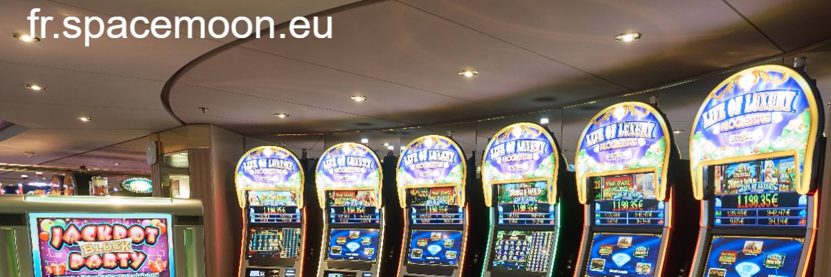 fr.spacemoon.eu